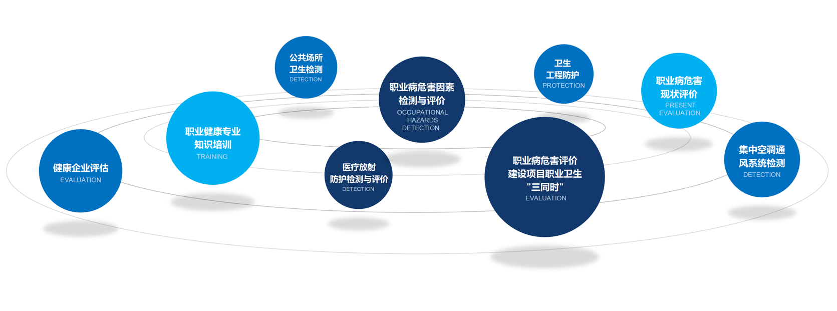 z职卫.png